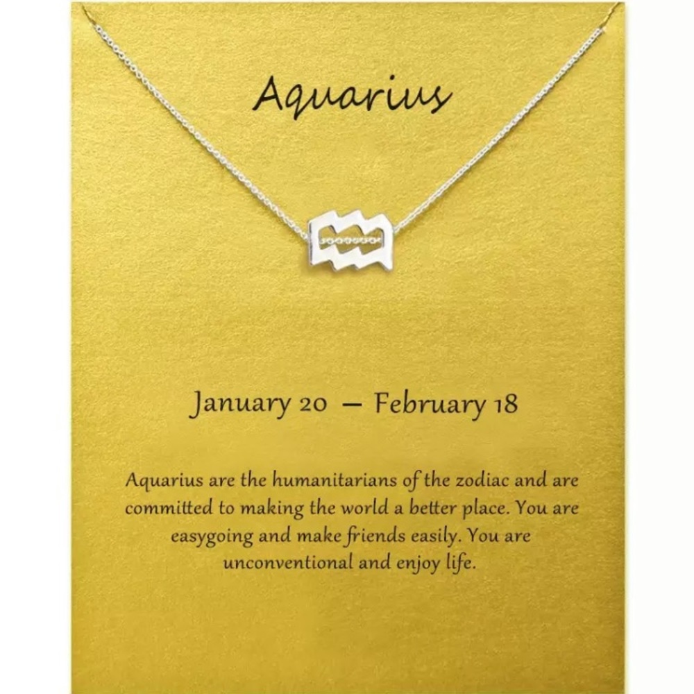 Aquarius ♒️ Zodiac Chains Necklace